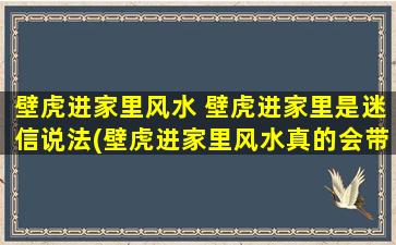 壁虎进家里风水 壁虎进家里是迷信说法(壁虎进家里风水真的会带来好运吗？揭开*！)